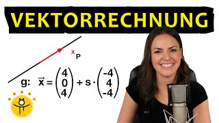 VEKTOREN 12 Klasse – Grundlagen [upl. by Hajan254]