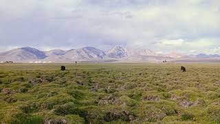 Mikhail IppolitovIvanov  On the steppes of Turkmenistan  Orchestral Suite No 4 op 65 1935 [upl. by Talmud]