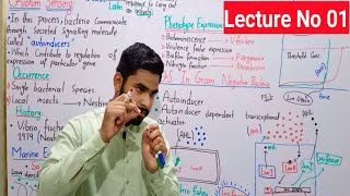 Quorum Sensing In Bacteria In Urdu  How Bacteria Talk To Each Other In Hindi  QS In V Fischeri [upl. by Yrram]