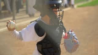 WV Little League Junior Division Baseball State Tournament Hedgesville vs Martinsburg 792024 [upl. by Giacobo]