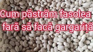 Iata cum se pastreaza fasolea peste iarna fara sa faca gargarita [upl. by Hsina]