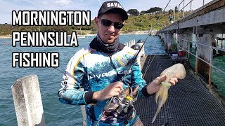 Fishing Mornington Peninsula [upl. by Einuj]