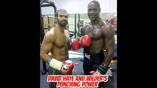 David Haye on what Wilders punching power is like [upl. by Lamson]