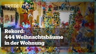 Rekord 444 Weihnachtsbäume in der Wohnung [upl. by Filmer]