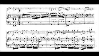 Lv Beethoven  Sonata for Violin and Piano op 12 no 1 3rd Movement [upl. by Ferdinand]