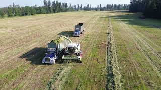 Silage Making [upl. by Dougall536]