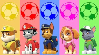 PAW Patrol Colors Balls  Match the Colors [upl. by Eatnwahs]