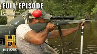 Swamp People HorseEating Gator on the Loose S12 E9  Full Episode [upl. by Neelik614]