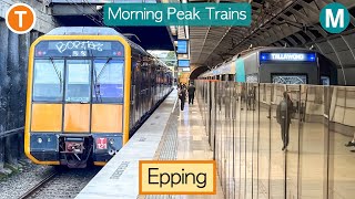 Transport for Sydney Vlog 843 Epping Station  Morning Peak Trains Part 2 [upl. by Hirsh]