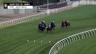 Flemington Jump Outs 5 August 2024 Jump Out 13 [upl. by Anilram]