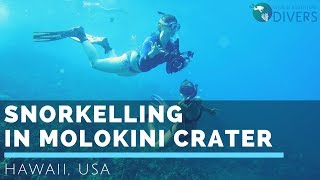 Snorkelling in Hawaii  Molokini Crater Maui [upl. by Allin349]