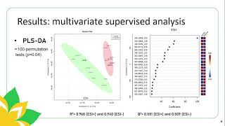 Mass spectrometrybased untargeted metabolomics to explore antiinflammatory Brazilian Ocotea [upl. by Gwenore662]