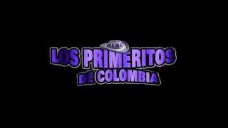 Lo Mejor De Mi En Vivo  Los Primeritos de Colombia 2013 [upl. by Edlihtam]