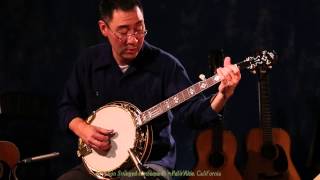 Huber Ron Block Truetone demo by Larry Chung [upl. by Marlie]