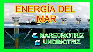 ✅¿QUE ES LA ENERGÍA MAREOMOTRIZ Y UNDIMOTRIZ 🌊🌊  ENERGÍA DE LOS MARES ⚡🔋 [upl. by Mandler]