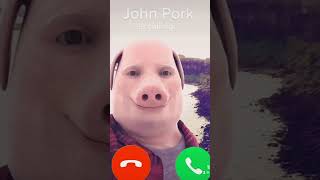 John pork is calling 🐷 johnpork pig answer [upl. by Sindee]