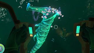 Subnautica  Ghost Leviathan Juvenile Immobilized by Floaters [upl. by Ellehsem]