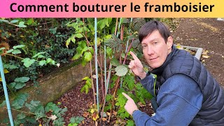 Comment bouturer le framboisier [upl. by Caddric319]