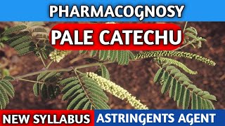 Pale Catechu Pharmacognosy  Astringents Agent  New Syllabus [upl. by Oalsecnew]