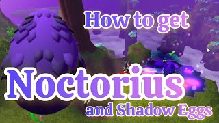 How to Get New Noctorius Shadow Dragon in Dragon Adventures [upl. by Vierno]