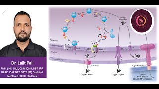 Cell Signaling 3 [upl. by Christan513]