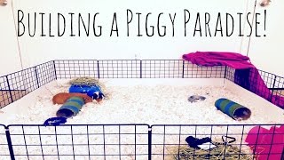 DIY Guinea Pig CampC Cage  How to Build a CampC Cage [upl. by Reisman]