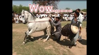 Best horse dance in pakistan No32 [upl. by Alard]