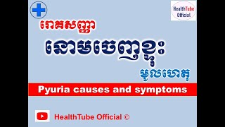 នោមចេញខ្ទុះ មូលហេតុនិងរោគសញ្ញា l Pyuria causes and symptoms ll ​បញ្ហានោម l HealthTube Official [upl. by Netfa]