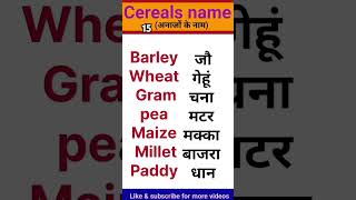 15 Cereals name  Grains name  अनाजों के नाम  Shorts  english learning  trending  viral [upl. by Ettenay348]