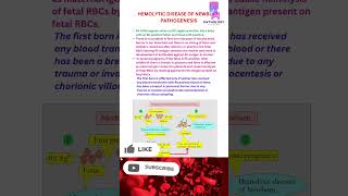 Haemolytic Disease Of Newborn 👶 hdn newborn rh abo bloodtest pathogenesis mbbs neetpg lab [upl. by Nwad]