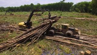 Tigercat clambunk skidder and logger  swamp logging [upl. by Ongun]