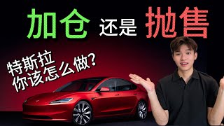 特斯拉该加仓还是抛售？Tesla我给的目标价！（揭秘） [upl. by Codd]