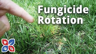 Lawn Fungicide Rotation Applications  Lawn Care Disease Control  DoMyOwncom [upl. by Rebmit]