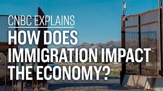 How does immigration impact the economy  CNBC Explains [upl. by Gnov193]