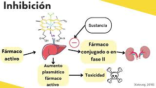 Metabolismo farmacológico por el CYP450 [upl. by Ayadahs240]