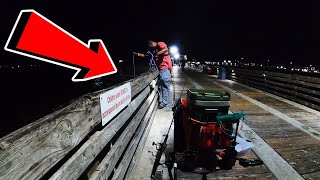 FISHING and CRABBING at the GALVESTON FISHING PIER [upl. by Aissatan]