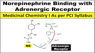 How Noradrenaline  Norepinephrine binds with adrenergic receptor [upl. by Egwan981]