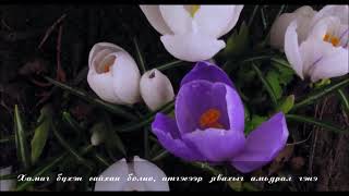 quotХамаг бүхэн сайхан болноquot үгтэй  quotKhamag bukhen saikhan bolnoquotlyrics [upl. by Daloris]