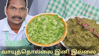 புதினா துவையல்  Puthina Thuvaiyal  Balajis kitchen [upl. by Ermina]