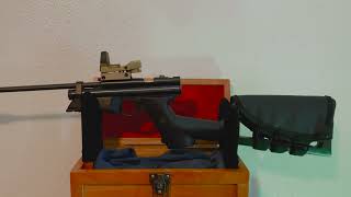 Al’s Custom Crosman CO2 Carbine Part 2 May 2024 [upl. by Eisoj]