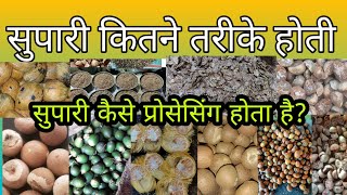 सुपारी कितने प्रकार की होती है Betel Nut processing  Betel Nut Small Business IdeaSupari Business [upl. by Sihunn]