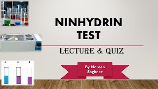 Ninhydrin test biochemistry [upl. by Alhsa772]