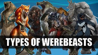 Types Of Werebeasts  Between Man And Beast [upl. by Nitsid]