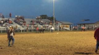 1st Place Wild Steer Saddling [upl. by Aisak]