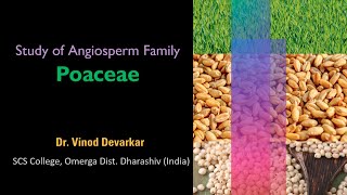 Study of Family Poaceae by Dr V D Devarkar [upl. by Ydassac]