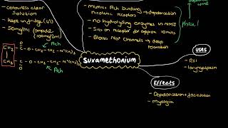 Suxamethonium [upl. by Madaih352]