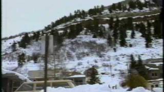 Sled Dogs commercial  1996 [upl. by Alcine353]