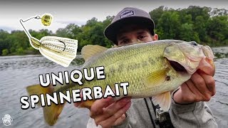 Fall Spinnerbait Fishing Tips  Imitating Baitfish and Covering Water [upl. by Gorey]