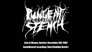 Pungent Stench Aut Live in Vienna Austria December 9th 1988 2024 ReRipMaster GrindDeath [upl. by Bounds741]