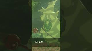 Ive Finally Collected All 900 Koroks in Breath of the Wild [upl. by Enitsenre]